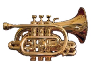 A gold colored chunky looking pocket cornet.