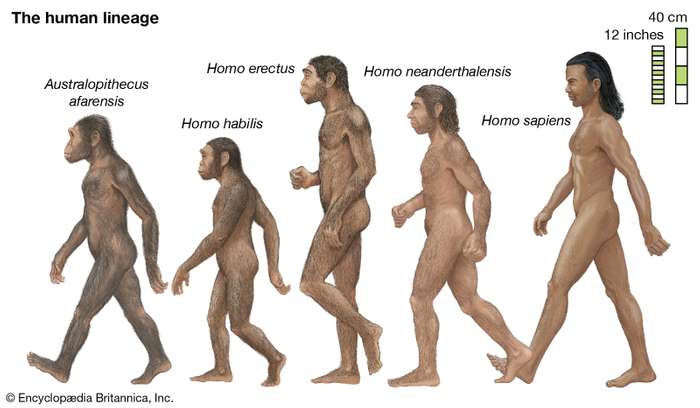 HomoSapiensGroup.jpeg