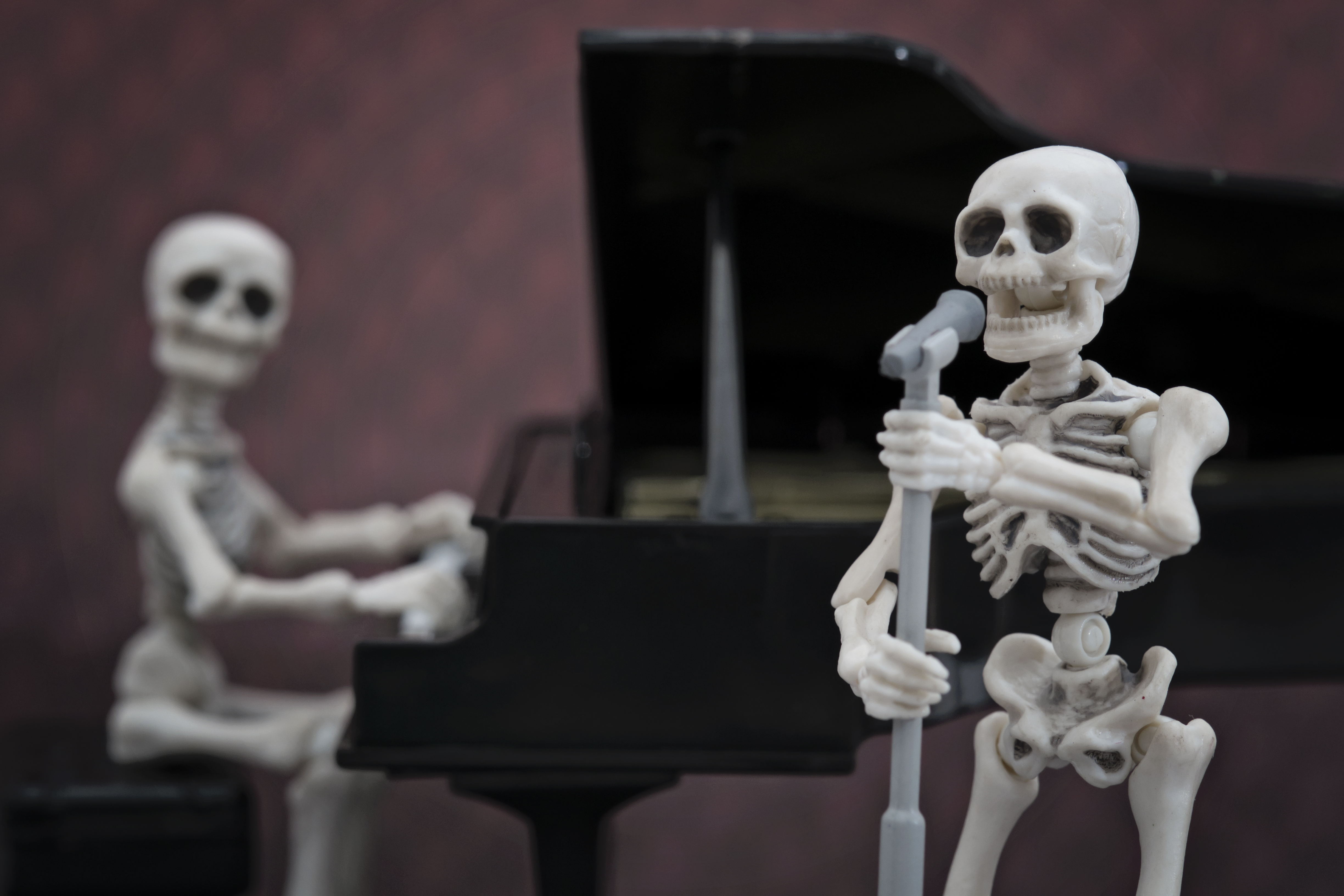 Skeltons playing jazz.jpeg