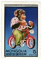 Chimponbike1.jpeg