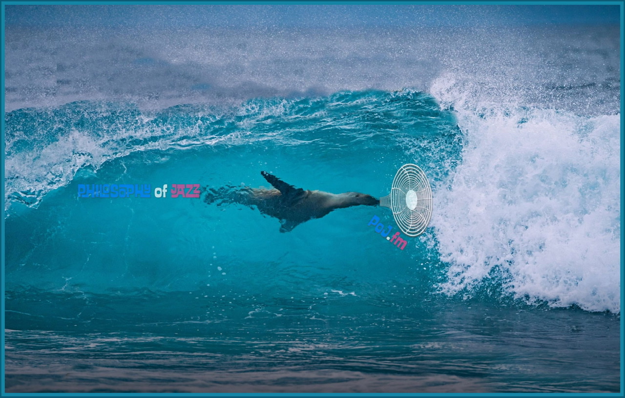 SealThroughWavePOJLogos.jpeg