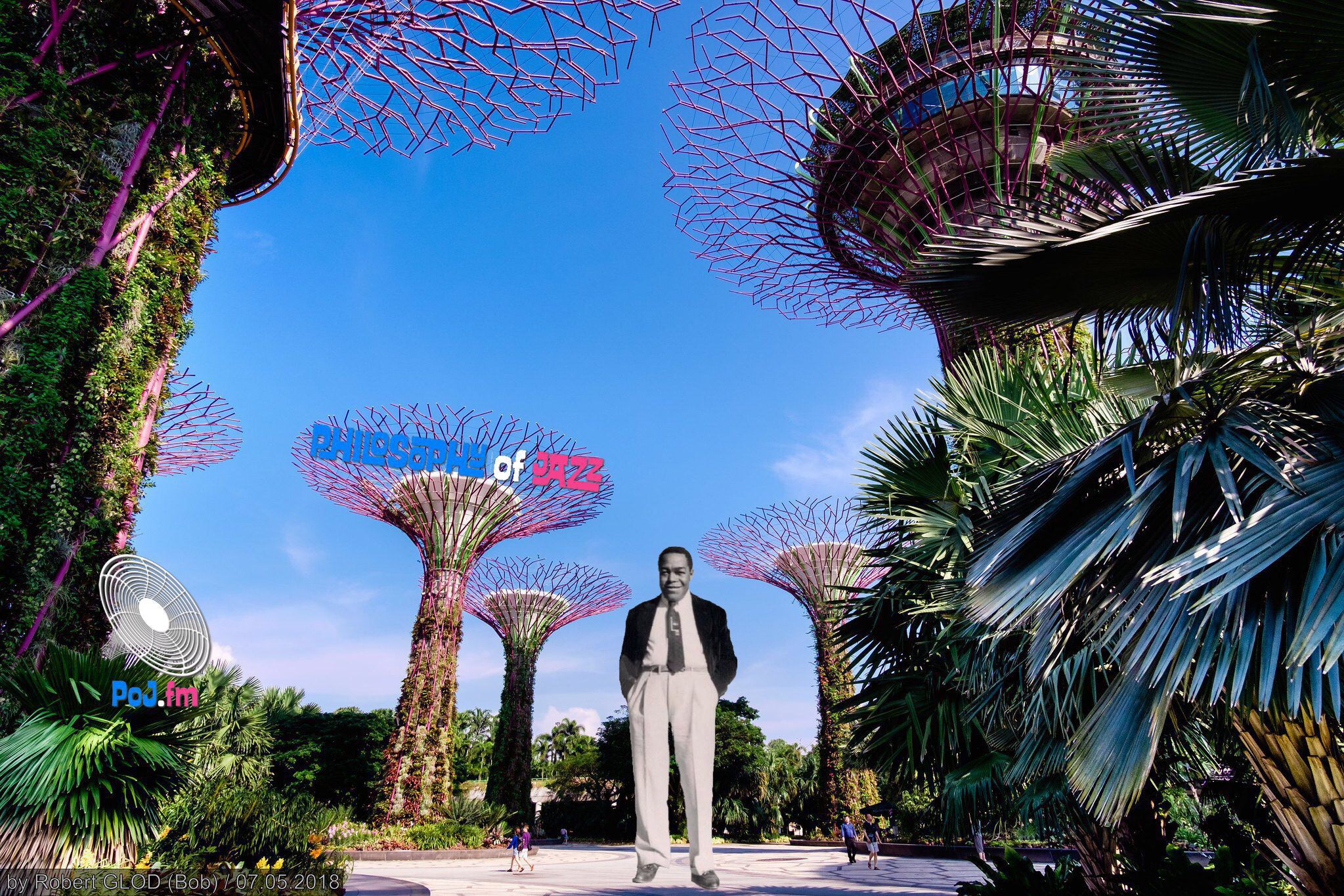 SingaporeTreesBlueSkyGiantCharlieParker.jpeg