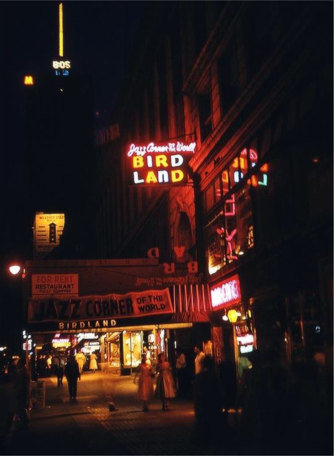 Birdlandincolor.jpeg